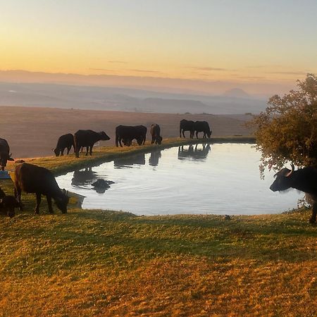 Uitzicht Private Nature Reserve And Lodge Fouriesburg Bagian luar foto