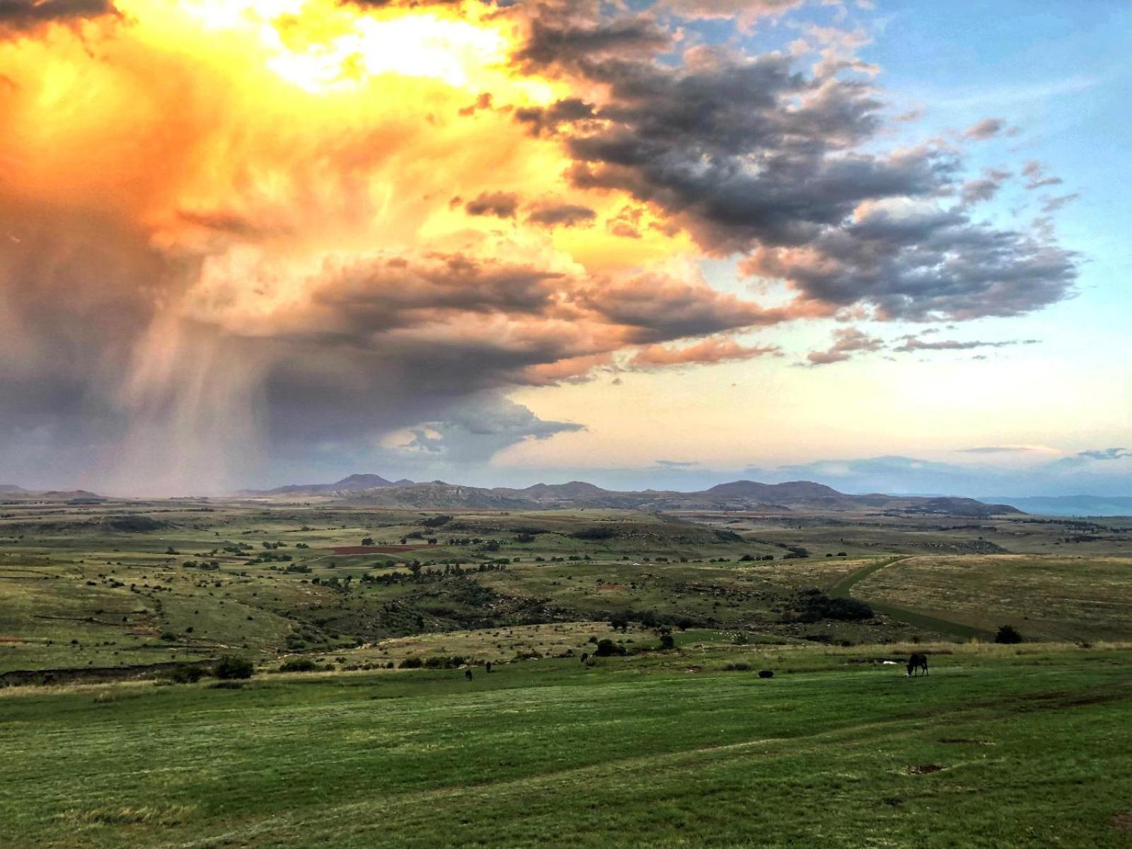 Uitzicht Private Nature Reserve And Lodge Fouriesburg Bagian luar foto