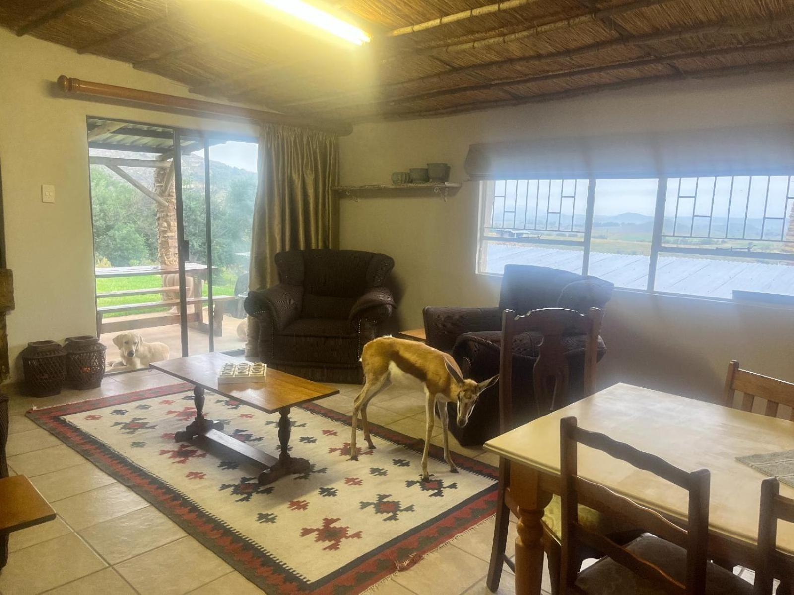 Uitzicht Private Nature Reserve And Lodge Fouriesburg Bagian luar foto